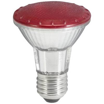 Heldere gloeilamp met zilveren voet en rode kap, geschikt voor decoratieve doeleinden of accentverlichting.