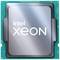 Processor met de tekst 'intel xeon' op het oppervlak, in een rechthoekige behuizing.
