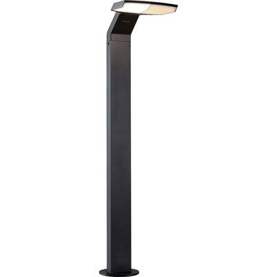 Zwarte staande lamp met geknikte kop, schijnt naar beneden. Design oogt modern en minimalistisch, ideaal voor buitenruimtes.