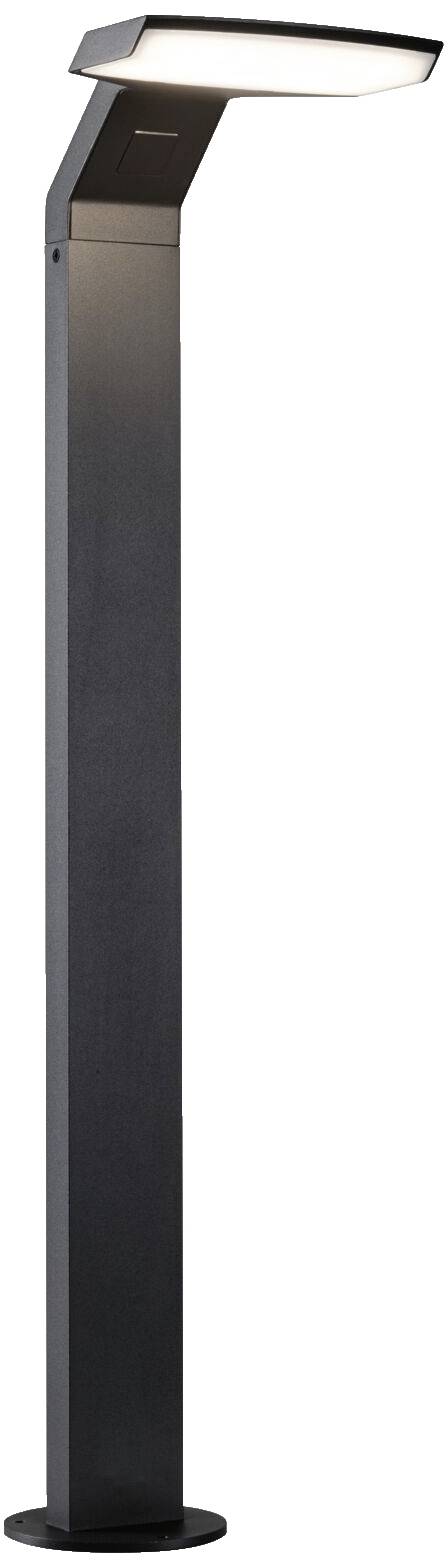Een moderne zwarte buitenlamp met een rechthoekige kop en een rechte steel, die licht naar beneden schijnt.