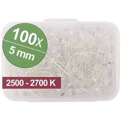 Kunststof doos met 100 transparante LED's, diameter 5 mm, kleurtemperatuur 2500 tot 2700 K, op witte achtergrond.