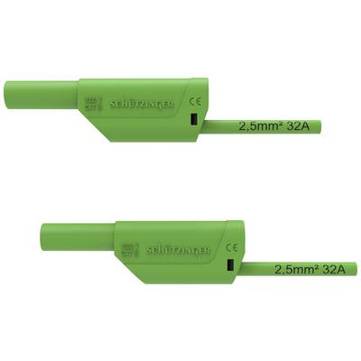 Twee groene stekerbuizen, gemarkeerd met '2,5 mm² 32A'. Bovenste buis toont schriftdetails. Beide zijn geschikt voor 1000V CAT III.