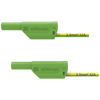 Twee groene elektrische aansluitingen met opschrift '1000 V CAT III' en '2,5 mm² 32A'.