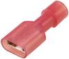 TRU COMPONENTS TC-11599308 Platte stekker (female) Insteekbreedte: 6.3 mm Insteekdikte: 0.8 mm 180 ° Volledig geïsoleerd Rood 1 stuk(s)