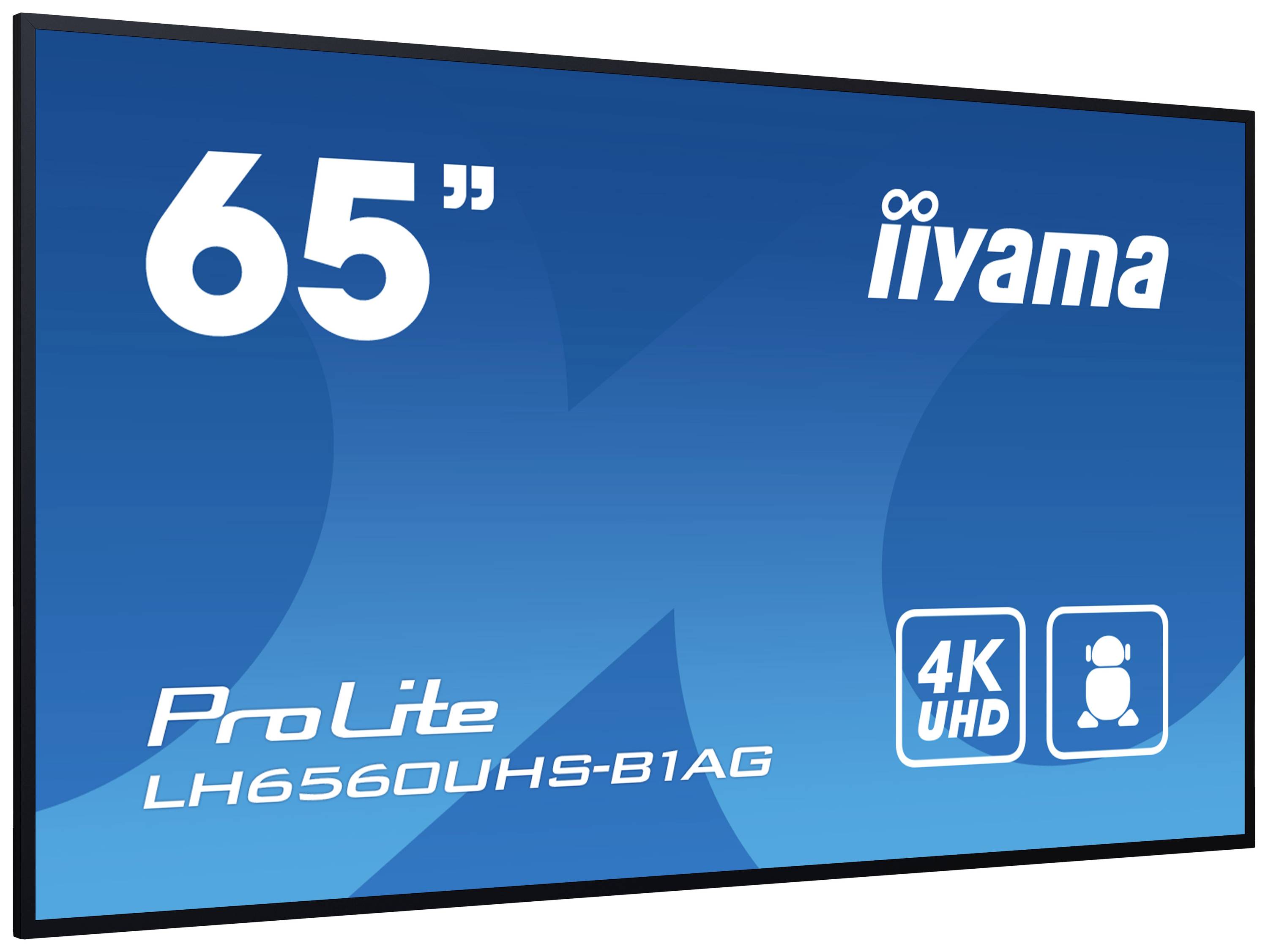 iiyama ProLite LH6560UHS-B1AG Signage Display 164 cm (64,5 Zoll)-2