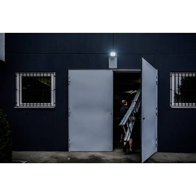Een persoon draagt een ladder door een half geopende metalen deur een donkergrijs gebouw binnen. Ramen met tralies flankeren de deur.