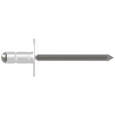 Metalen splint met ronde kop en puntig uiteinde op witte achtergrond.