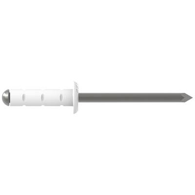 Een plug met ingeslagen schroef, geschikt voor bevestigingen in massieve muren, weergegeven op een witte achtergrond.