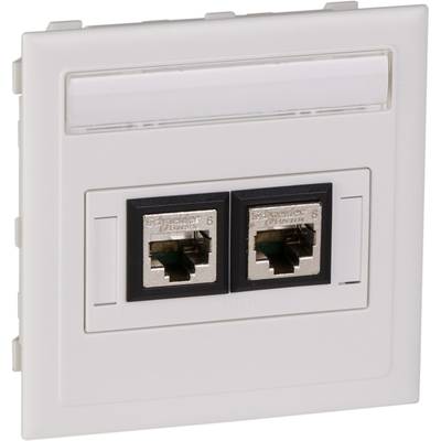 'Netwerkaansluiting met twee RJ45-poorten in een witte afdekplaat, geschikt voor Ethernet-verbindingen.'