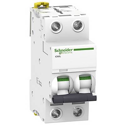 Een tweepolige vermogensschakelaar van Schneider Electric, model IC60L, voor elektrische schakeling en beveiliging van stroomkringen.