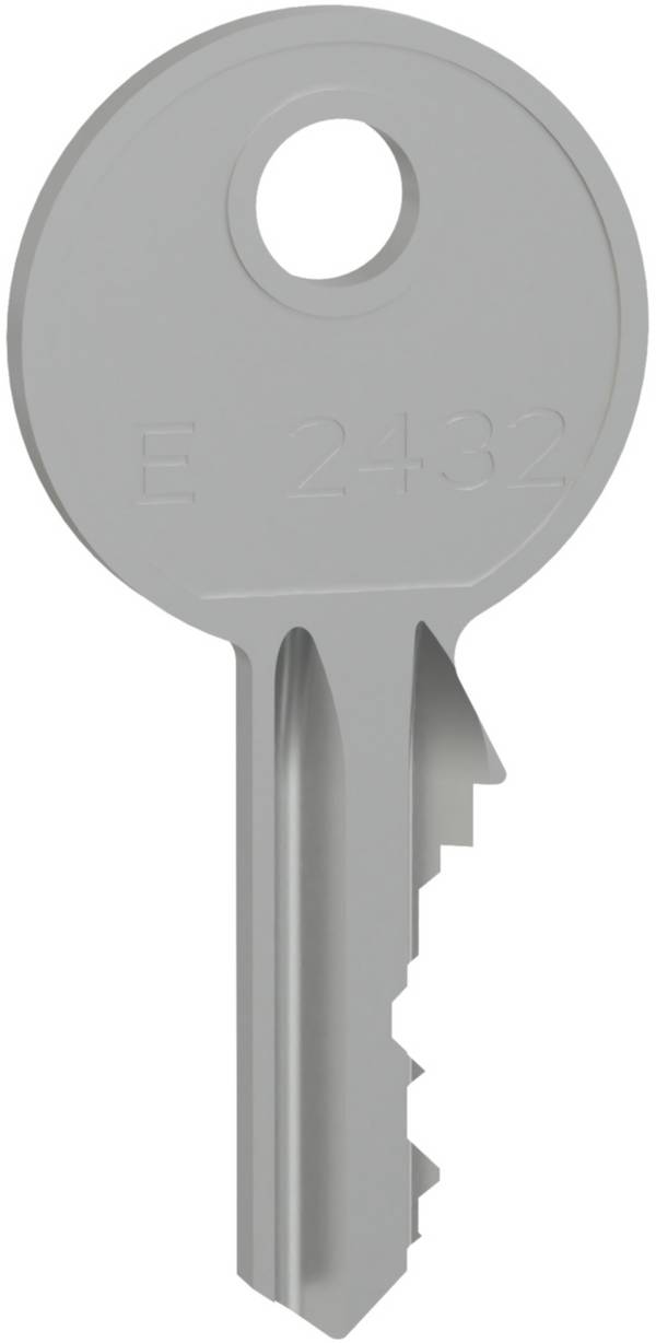 Schneider Electric LVS07956 PrismaSeT-P, cilinderslot, met 2 sleutels nr.2432E Cilinderslot 1 stuk(s)