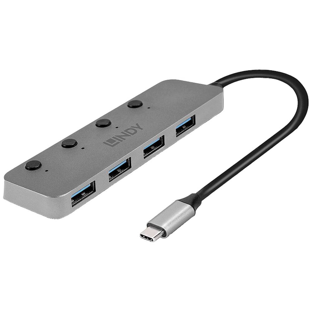 LINDY 43383 USB-C (USB 3.2 Gen 2) multiport hub 4 poorten Grijs