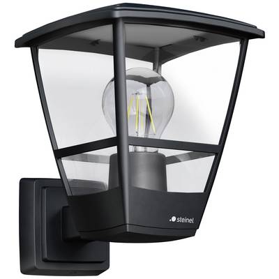 Zwarte buitenwandlamp met transparente behuizing en zichtbare gloeilamp, gemonteerd aan een muur.