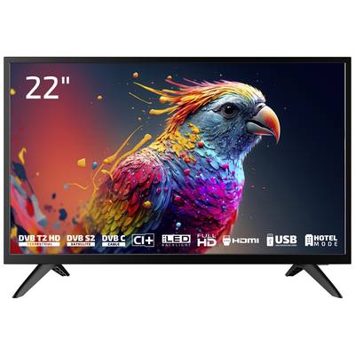 Een 22-inch televisie met een levendig papegaaibeeld op het scherm. Functies: DVB-T2/S2, CI+, LED, Full HD, HDMI, USB.