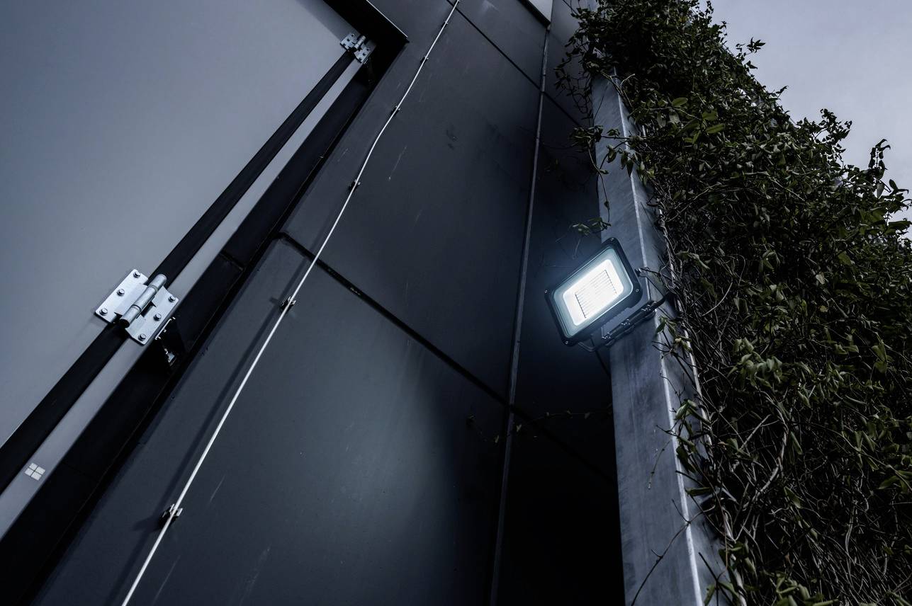 Een heldere schijnwerper verlicht een grijze gebouwmuur, waarnaast een dichte groene plantenrank groeit.