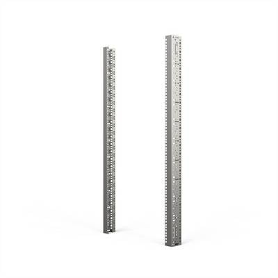 Twee verticale, metalen structuurrails met geperforeerde gaten, die worden gebruikt voor modulaire meubel- of rekbevestiging.