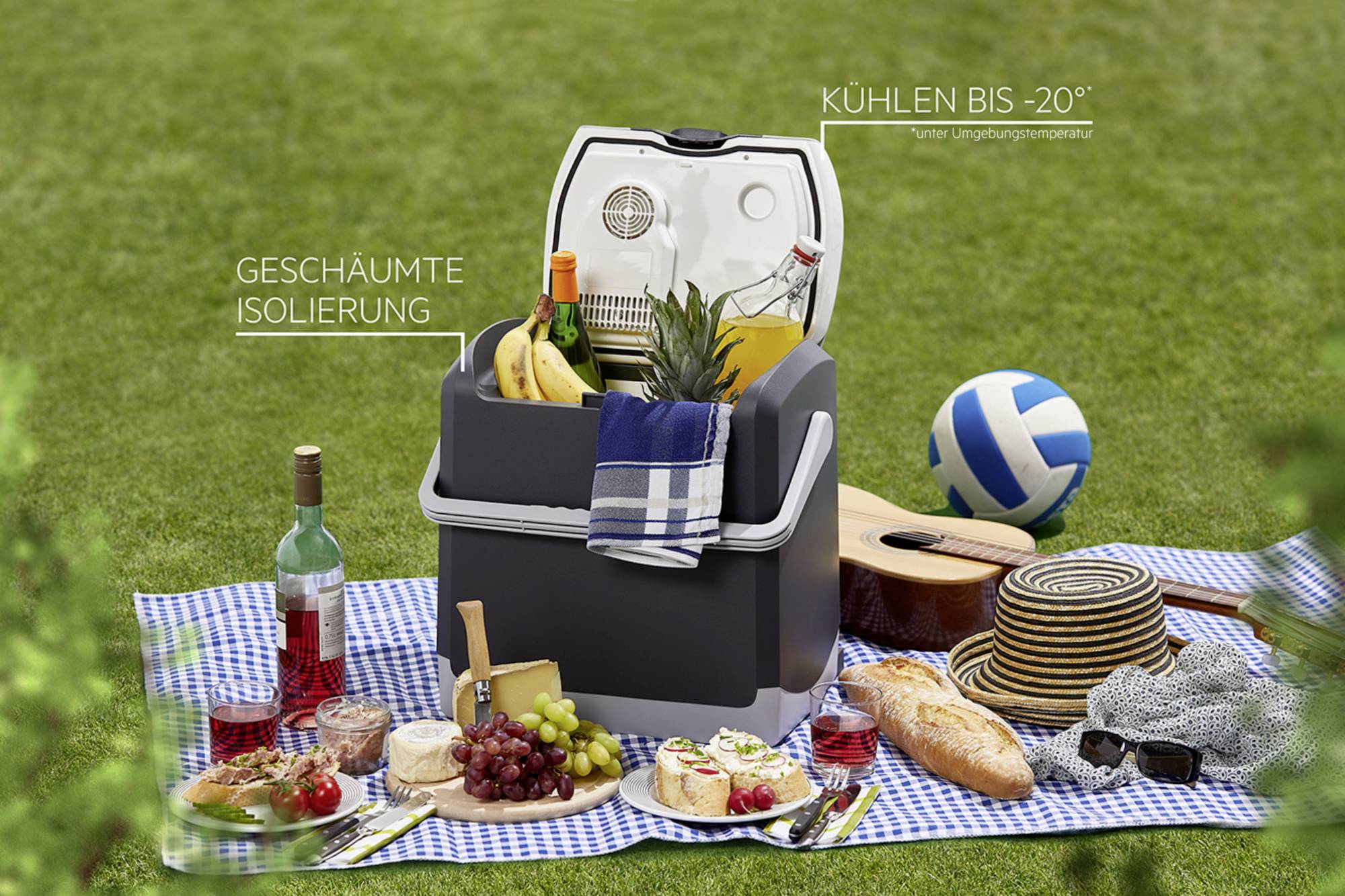 Picknick op een kleed met fruit, brood, dranken en een koelbox in de buitenlucht. Een gitaar en een volleybal liggen ernaast.