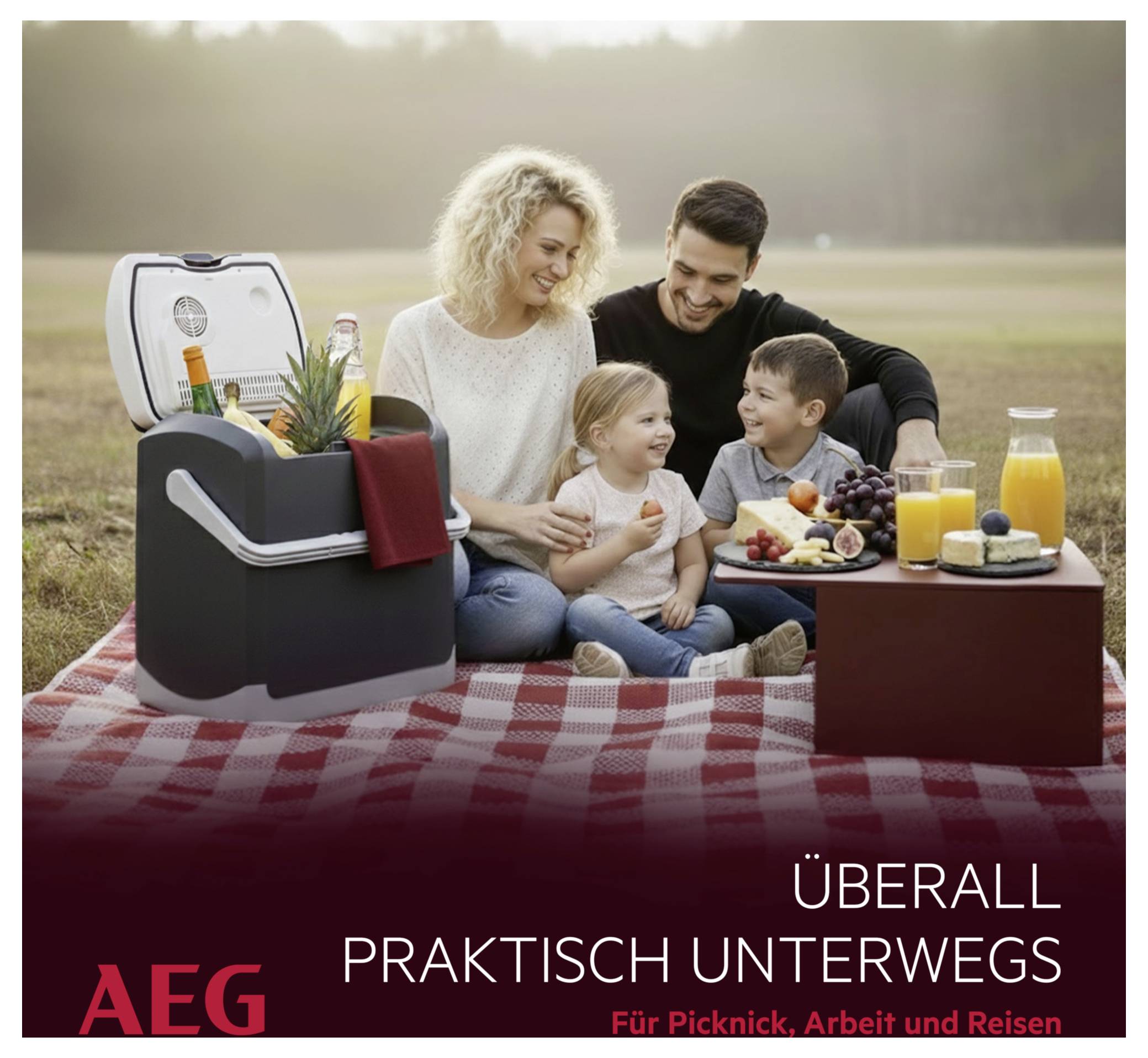 Een gezin van vier personen geniet van een picknick op een rood geruit kleed met een draagbare koelbox, omgeven door eten en drinken, buiten.