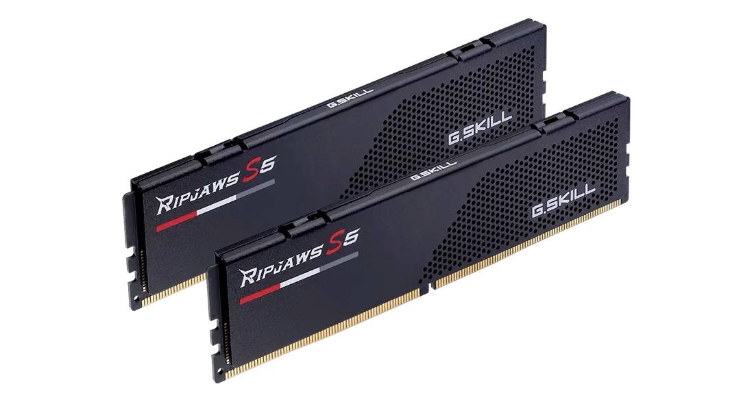 Twee RAM-modules met het opschrift 'G.SKILL Ripjaws S5', zwart design.