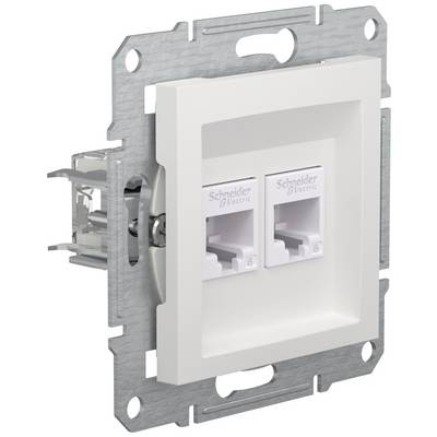 Een witte dubbele netwerkaansluiting van Schneider Electric, gemonteerd op een metalen frame voor wandmontage.