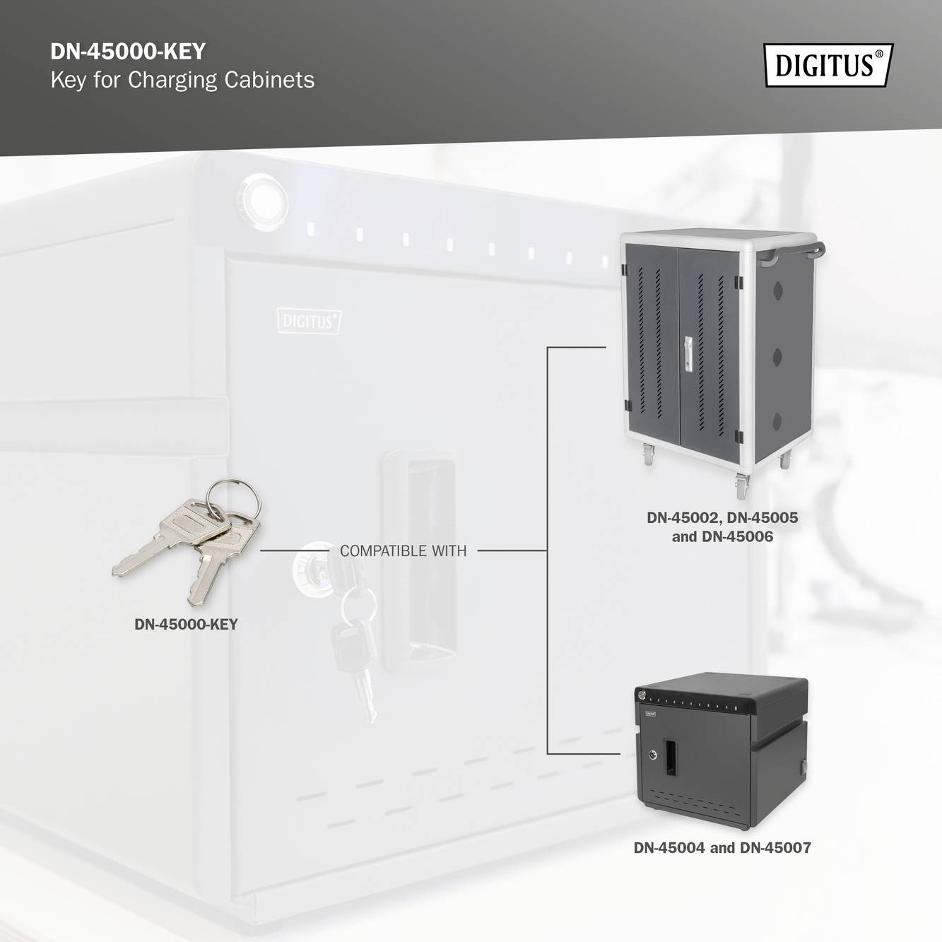 Sleutel 'DN-45000-KEY' voor laadkasten met zwarte en zilveren sleutels, compatibel met verschillende laaddoosmodellen.