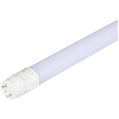 Een witte LED-buis, cilindrisch van vorm met twee metalen pinnen aan één uiteinde, op een witte achtergrond. Ideaal voor energiezuinige verlichting.