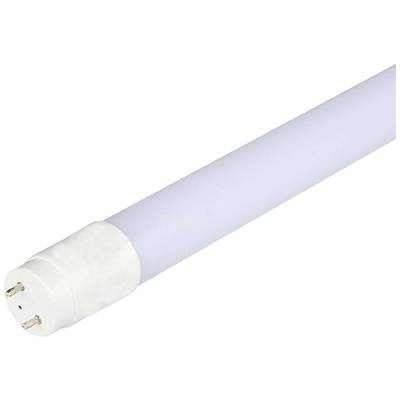 Witte LED-buis met twee metalen pinnen aan één uiteinde, geschikt voor verlichting.
