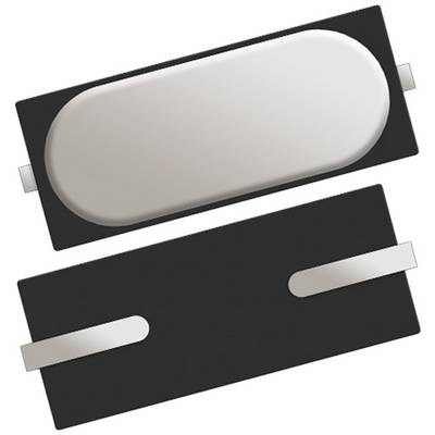 Elektronische componenten, mogelijk een kwartskristaloscillator, zwart met zilveren aansluitingen, op een witte achtergrond.