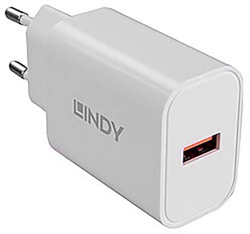 Een witte USB-netadapter met twee ronde metalen pennen en een rode USB-poort, waarbij de fabrikantsnaam 'LINDY' zijdelings is afgedrukt.