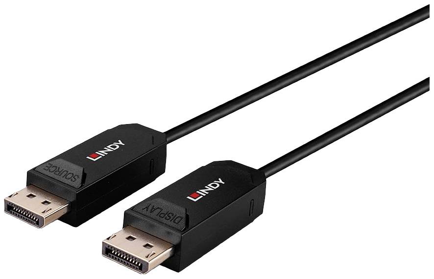 Twee zwarte DisplayPort-kabelstekkers van het merk 'Lindy', met de opschriften 'Source' en 'Display'.