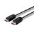 Twee zwarte DisplayPort-kabels met Lindy-logo.