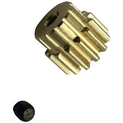 Een metalen tandwiel en een kleine zwarte schroef.