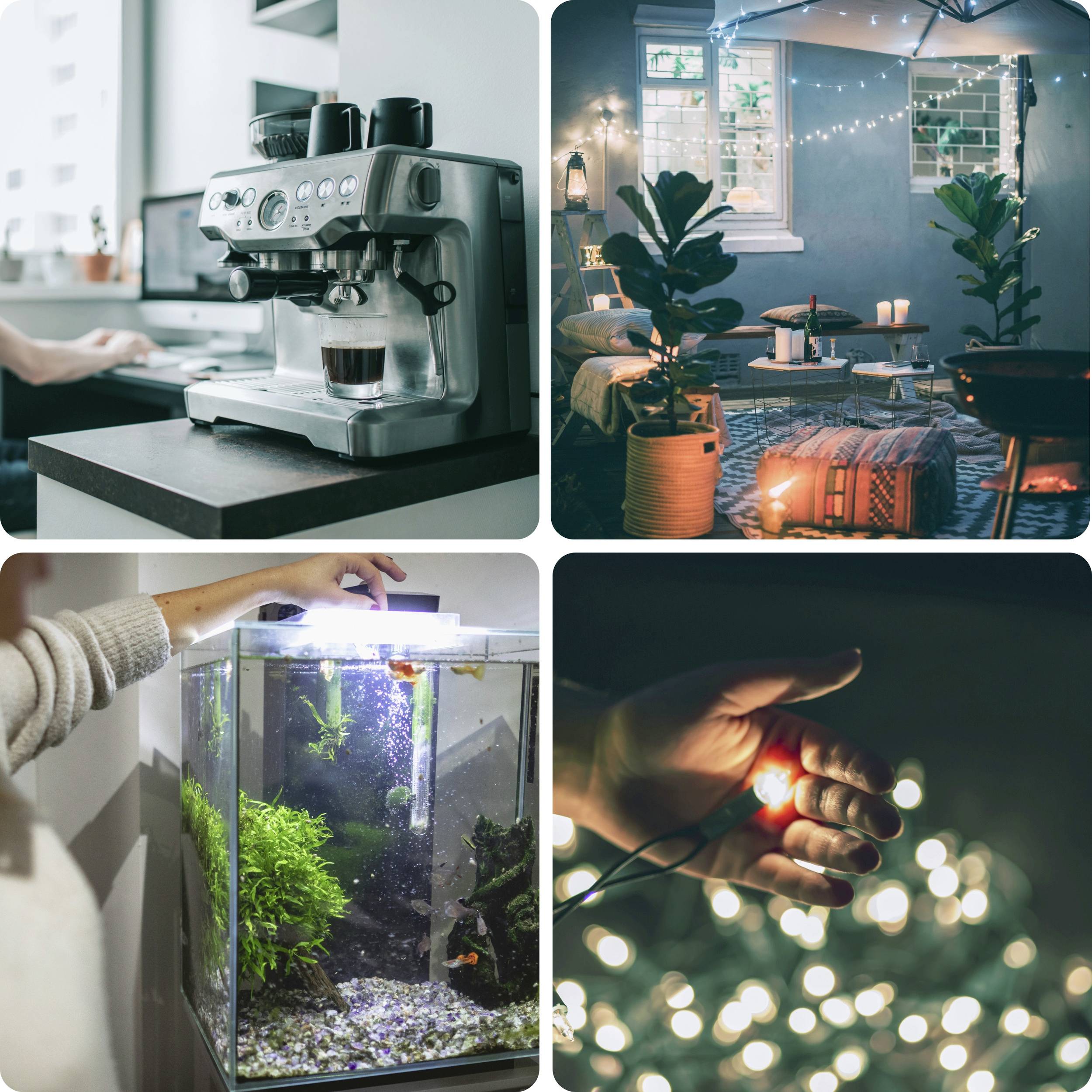 'Café-keuken met espressomachine', 'Gezellige binnenplaats met planten en lichten', 'Aquarium met groene planten', 'Hand houdt verlicht licht vast in bokeh-sfeer'