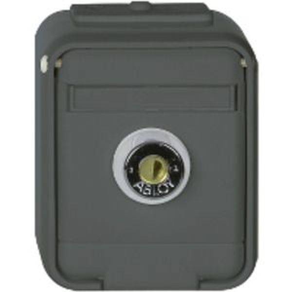 ELSO stopcontact gl afsluitbaar 455029 16A AquaTop licht/basisgrijs Wandcontactdoos   1 stuk(s)