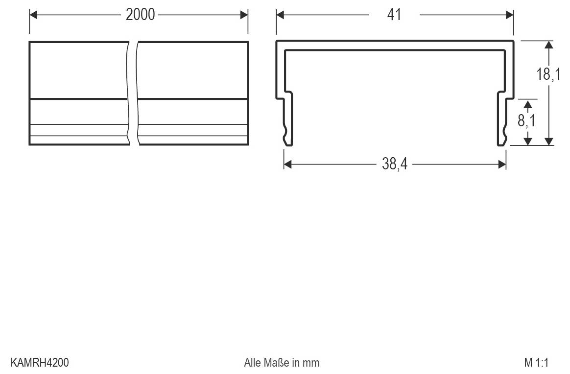 Technische tekening van een profielsectie en verbonden lengtes, gelabeld 2000 mm, 41 mm, 38,4 mm, 18,1 mm en 8,1 mm, met schaal M 1:1.
