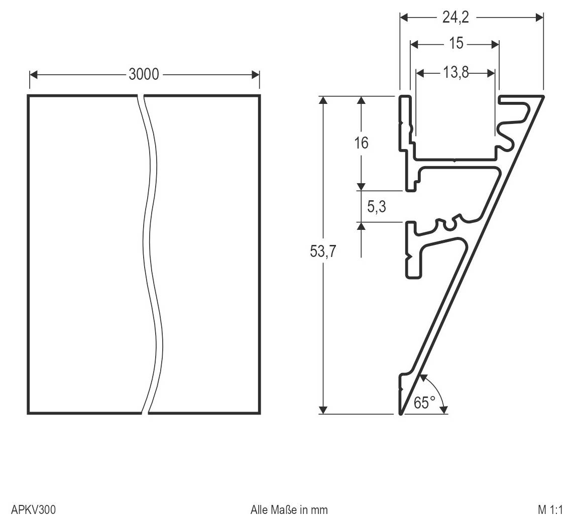 Technische tekening van een profielzijde met afmetingen in millimeters: 3000 mm brede vooraanzicht en een onder 65° hoekige doorsnede gelabeld 24.2, 15, 13.8, 16, 5.3, en 53.7.