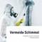 Persoon in beschermend pak en ademhalingsmasker reinigt muur van schimmel met borstel. Tekst: 'Voorkom schimmel. Ontdek verborgen waterschade snel.'