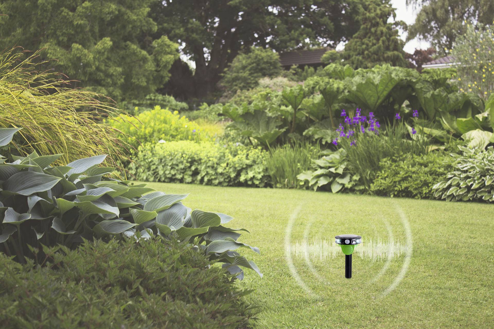 Een tuin met weelderige vegetatie, waarin een elektronisch apparaat in het gazon is gestoken, zendt golven uit om dieren op afstand te houden.