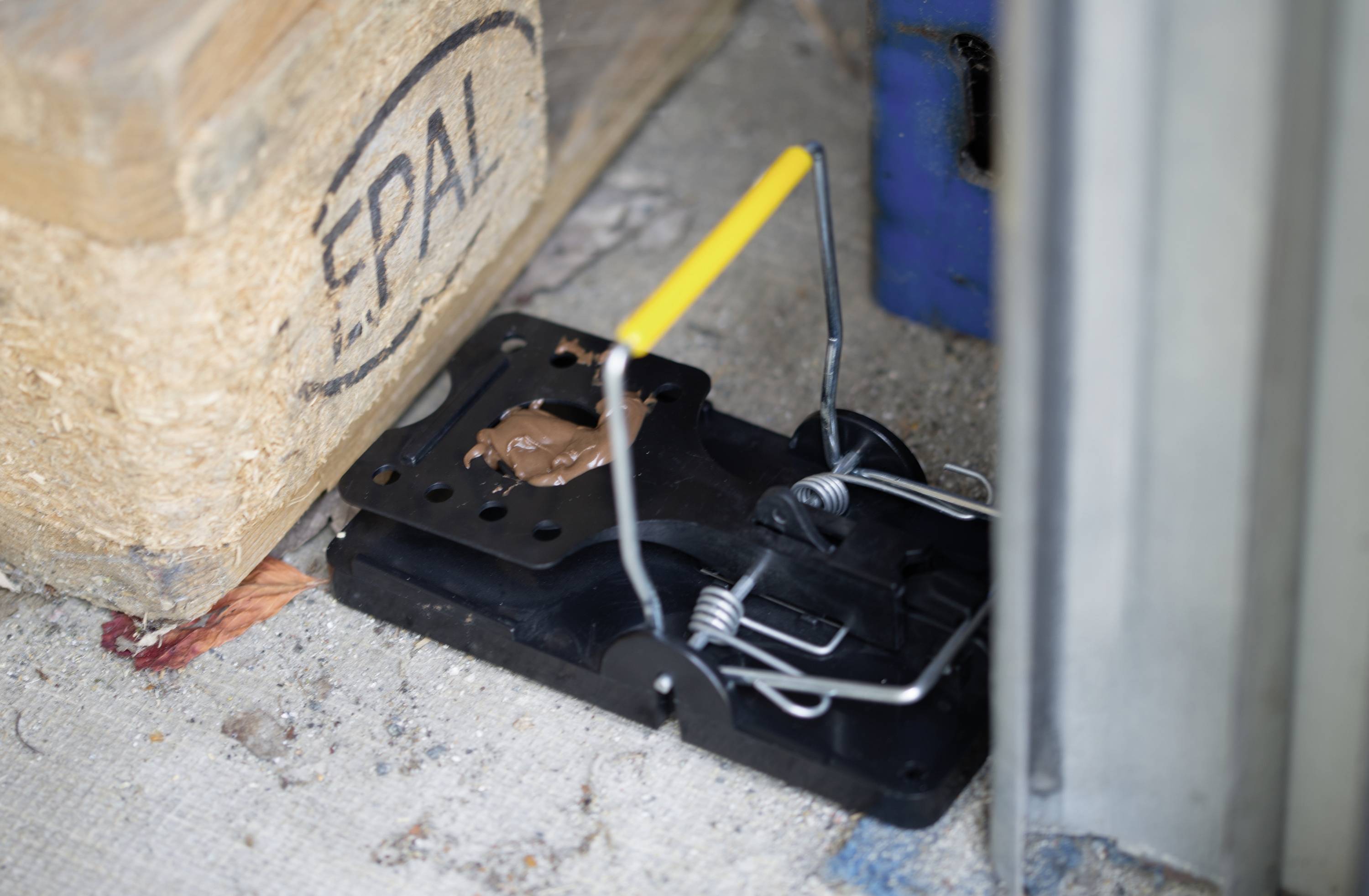 Gardigo 623445DEFR Rattenval Functies: Lokstof 5 stuk(s)-3
