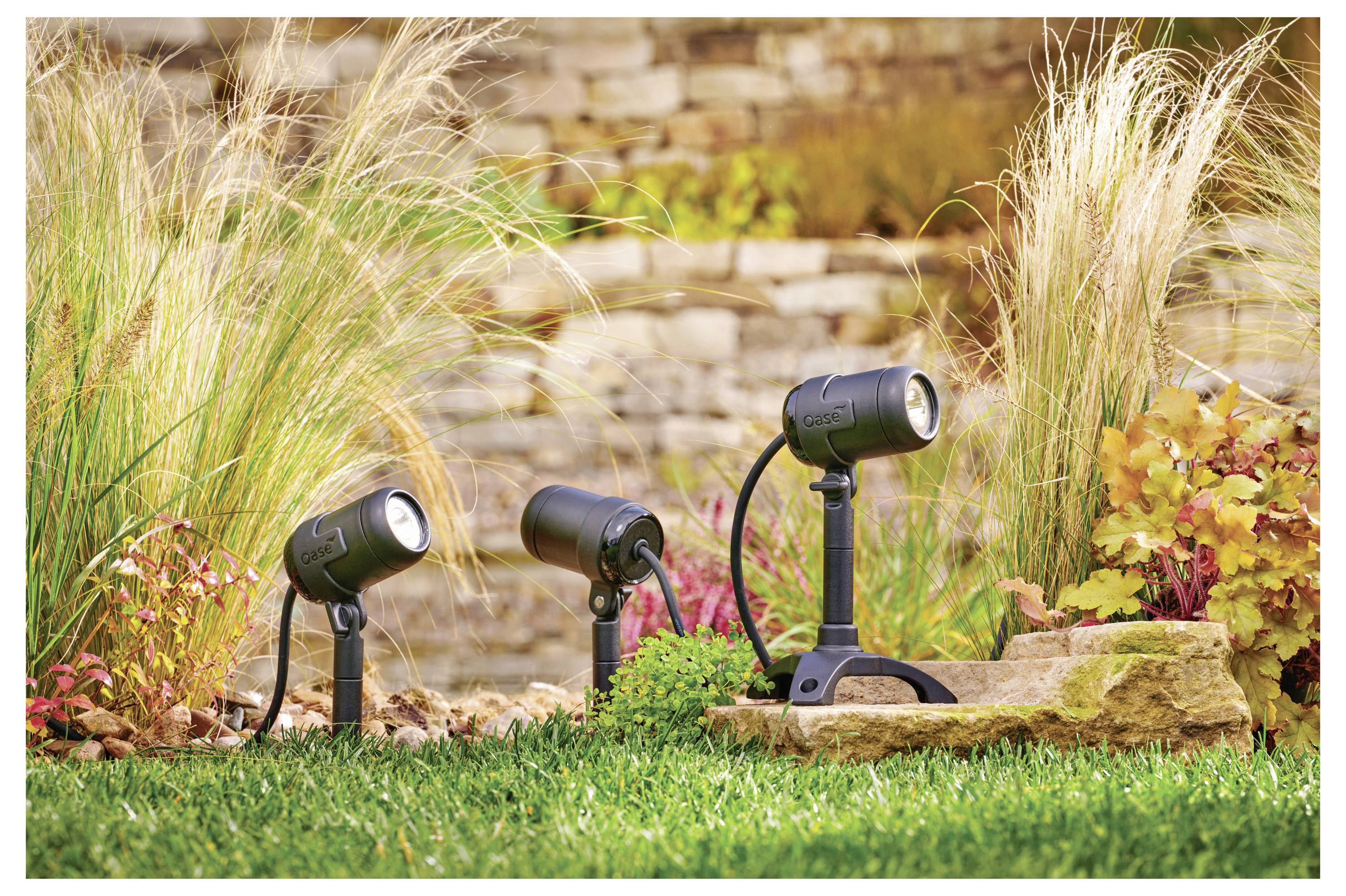 Tuinspotlights verlichten siergrassen en bladerdek nabij een stenen muur, waarbij landschaponderdelen in een buitenomgeving worden geaccentueerd.