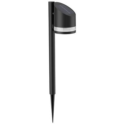 Zwarte solartuinlamp met puntige grondpen en transparante lichtring.