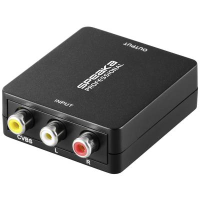 Zwarte audio-/videoconverter met aansluitingen voor CVBS, linker (L) en rechter (R) stereokanaal. Merkaanduiding 'Speaka Professional'.