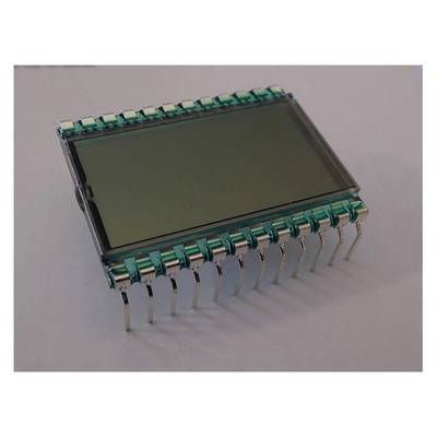Een rechthoekig LCD-onderdeel met meerdere metalen pinnen die aan twee zijden uitsteken. Het rust op een neutrale ondergrond.