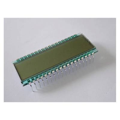 Een rechthoekig LCD-display met zilveren pinnen op een witte achtergrond.