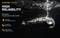 Zaklamp onder water, bewijst betrouwbaarheid en bescherming. Tekst: 'IP68-standaard, bescherming tegen water en stof, magnetische aansluiting'.