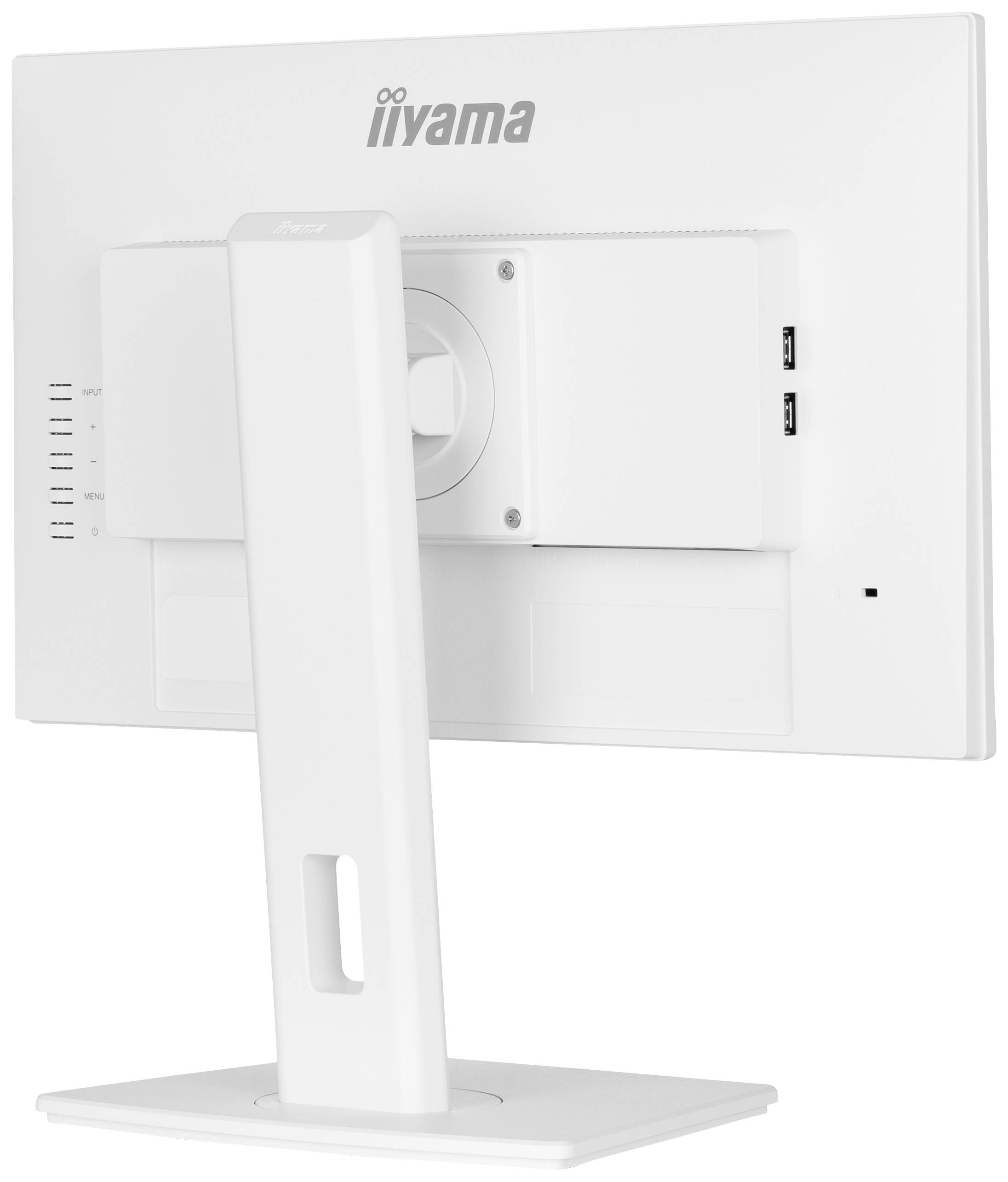 Achterzijde van een witte computermonitor op een standaard. De monitor heeft twee USB-poorten en is van het merk iiyama.