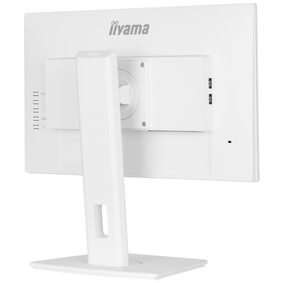Achterzijde van een witte computermonitor op een standaard. De monitor heeft twee USB-poorten en is van het merk iiyama.