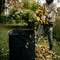 Een persoon verzamelt kleurrijke herfstbladeren en houdt ze in de hand, naast een bladerzak in de parkachtige tuin.