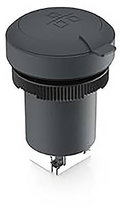 RAFI RAMO 22 F RAMO 22 F, RJ45, ronde band, frontring zwart, RJ 45 CAT 5 1.10.099.201/0011 Bus, inbouw Zwart 1 stuk(s)