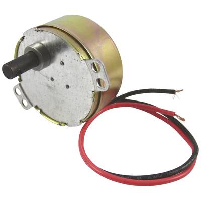 'Een kleine elektromotor met een rond metalen behuizing en twee open kabels in rood en zwart.'